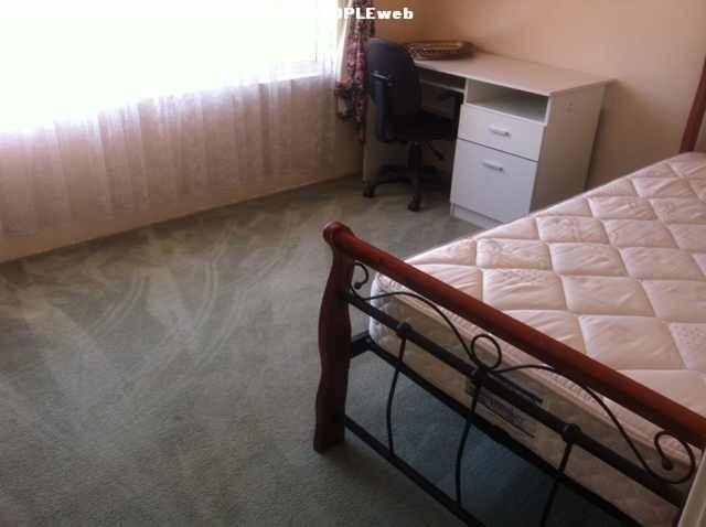 Two Single rooms for rent